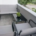 Marin Apartment