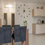 Marin Apartment