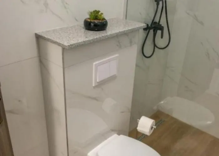 Marin * 扎博里克