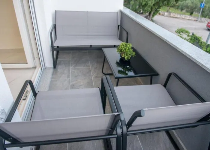 Marin * 扎博里克